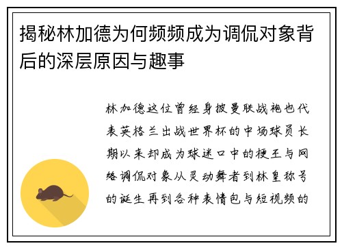 揭秘林加德为何频频成为调侃对象背后的深层原因与趣事