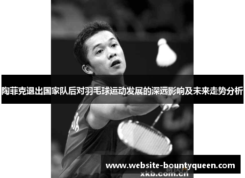 陶菲克退出国家队后对羽毛球运动发展的深远影响及未来走势分析 陶菲克退出国家队后对羽毛球运动发展的深远影响及未来走势分析